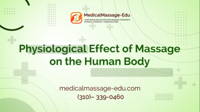 Physiological Effect of Massage on the Human Body